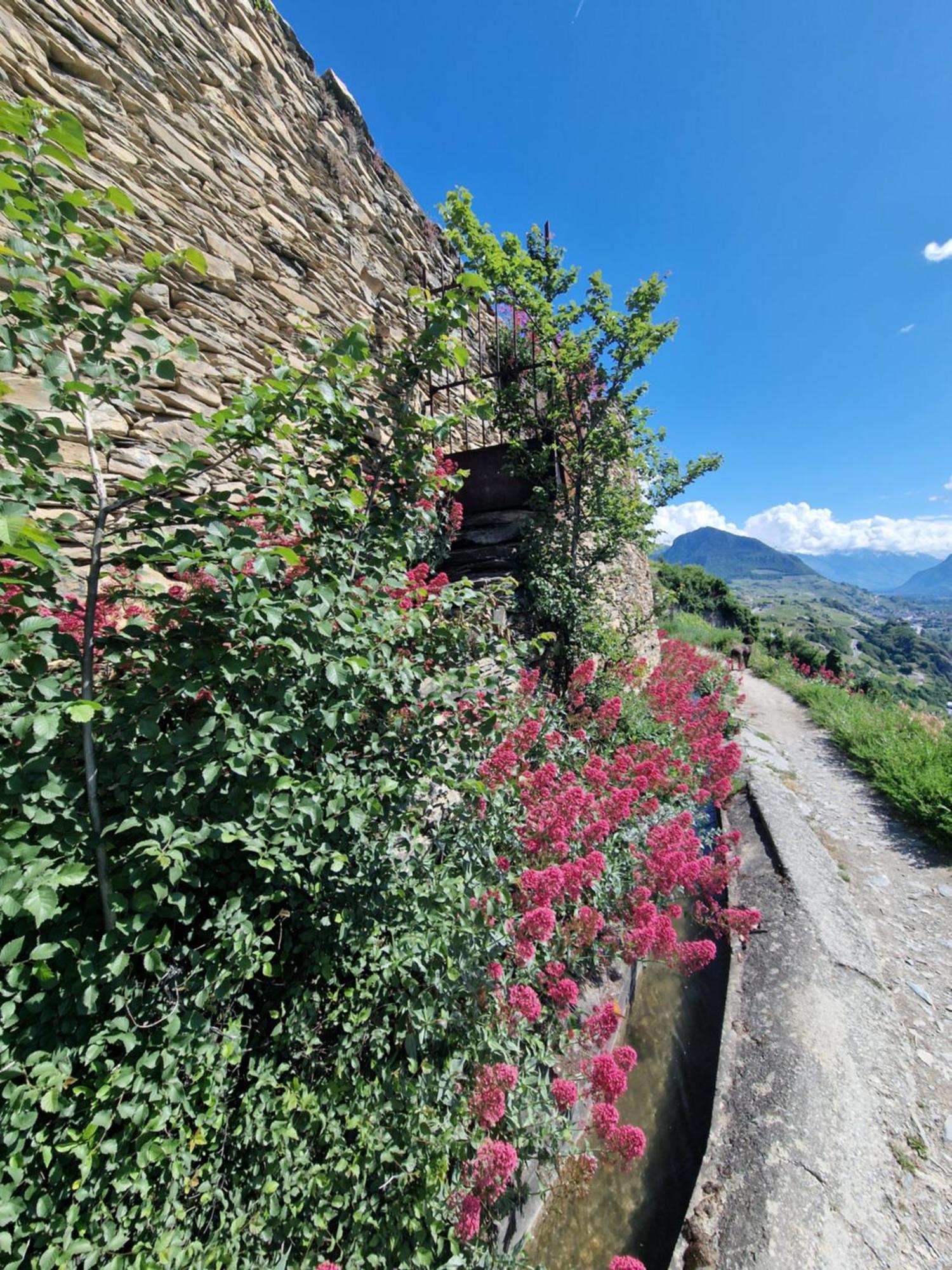 Bella Flocon Appartements Min 2 Nights Special Weekly And Monthly Prices (Adults Only) Saviese Bagian luar foto
